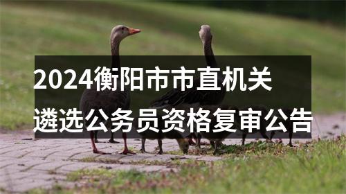 2024衡阳市市直机关遴选公务员资格复审公告 图片