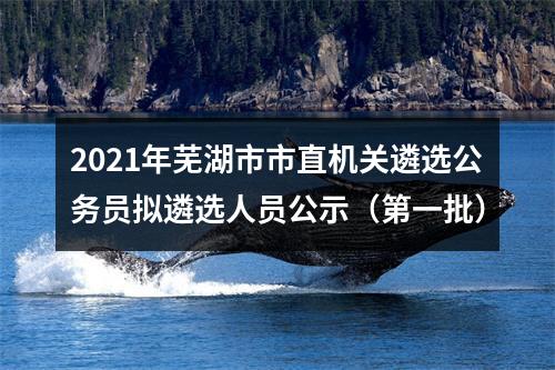 2021年芜湖市市直机关遴选公务员拟遴选人员公示（第一批） 图片