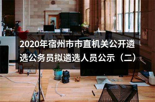 2020年宿州市市直机关公开遴选公务员拟遴选人员公示（二） 图片