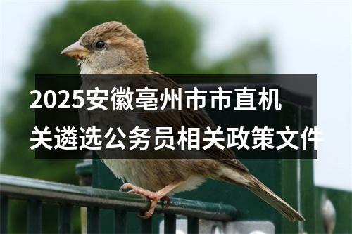 2025安徽亳州市市直机关遴选公务员相关政策文件 图片