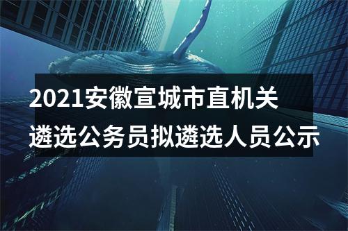 2021安徽宣城市直机关遴选公务员拟遴选人员公示 图片