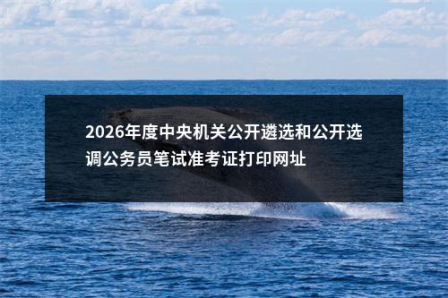 2026年度中央机关公开遴选和公开选调公务员笔试准考证打印网址 图片