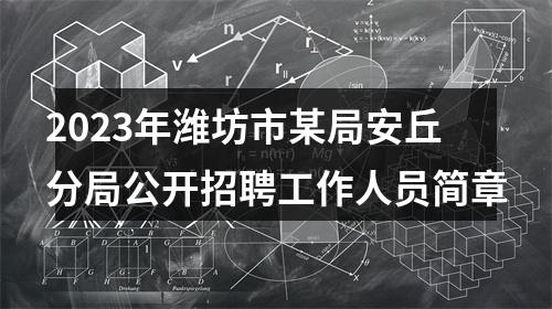 2023年潍坊市某局安丘分局公开招聘工作人员简章 图片
