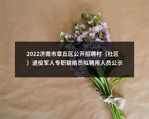 2022济南市章丘区公开招聘村（社区）退役军人专职联络员拟聘用人员公示 图片