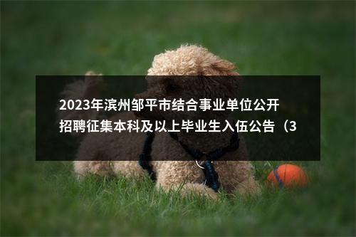 2023年滨州邹平市结合事业单位公开招聘征集本科及以上毕业生入伍公告（30人） 图片