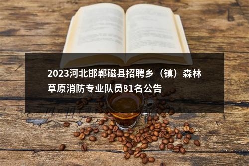 2023河北邯郸磁县招聘乡（镇）森林草原消防专业队员81名公告 图片