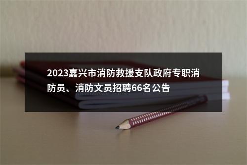 2023嘉兴市消防救援支队政府专职消防员、消防文员招聘66名公告 图片