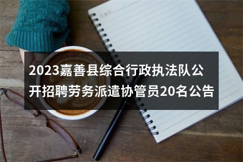 2023嘉善县综合行政执法队公开招聘劳务派遣协管员20名公告 图片