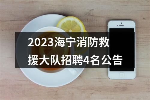 2023海宁消防救援大队招聘4名公告 图片