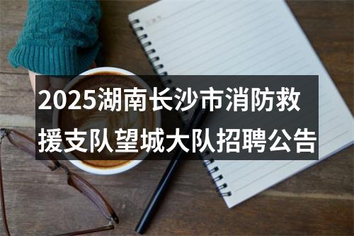 2025湖南长沙市消防救援支队望城大队招聘公告 图片