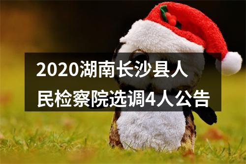 2020湖南长沙县人民检察院选调4人公告 图片