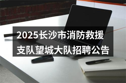 2025长沙市消防救援支队望城大队招聘公告 图片