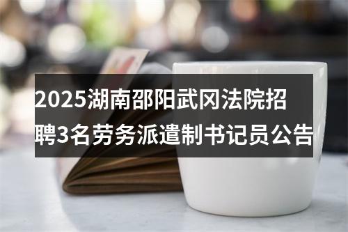 2025湖南邵阳武冈法院招聘3名劳务派遣制书记员公告 图片