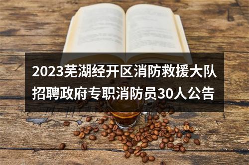 2023芜湖经开区消防救援大队招聘政府专职消防员30人公告 图片