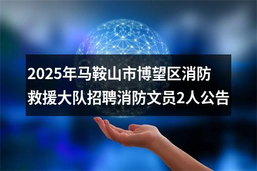 2025年马鞍山市博望区消防救援大队招聘消防文员2人公告 图片