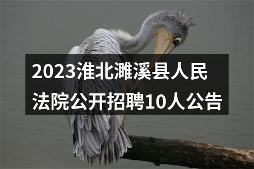 2023淮北濉溪县人民法院公开招聘10人公告 图片