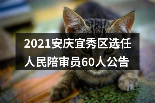 2021安庆宜秀区选任人民陪审员60人公告 图片
