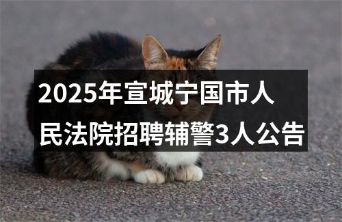 2025年宣城宁国市人民法院招聘辅警3人公告 图片