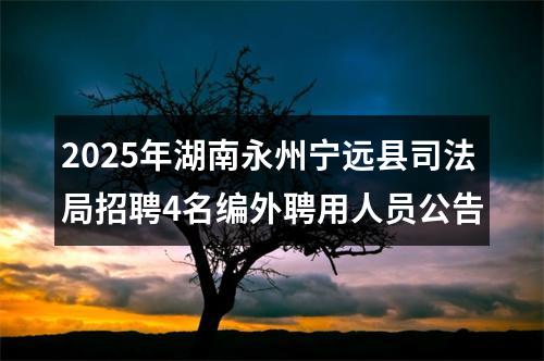 2025年湖南永州宁远县司法局招聘4名编外聘用人员公告 图片