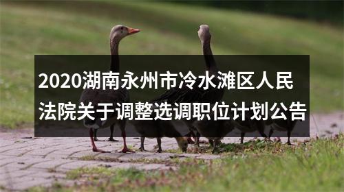 2020湖南永州市冷水滩区人民法院关于调整选调职位计划公告 图片