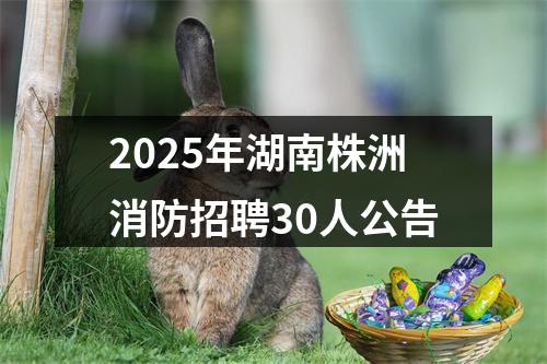 2025年湖南株洲消防招聘30人公告 图片