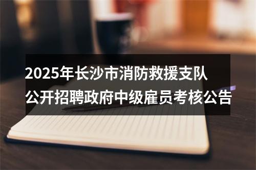 2025年长沙市消防救援支队公开招聘政府中级雇员考核公告 图片