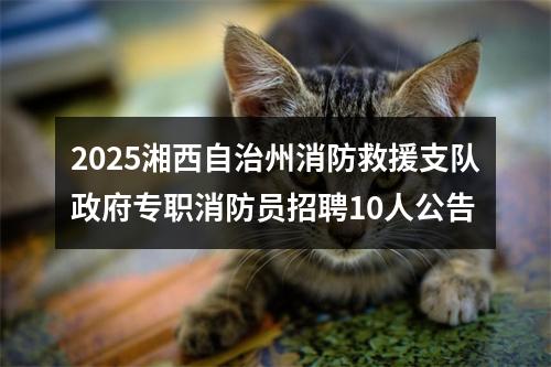 2025湘西自治州消防救援支队政府专职消防员招聘10人公告 图片