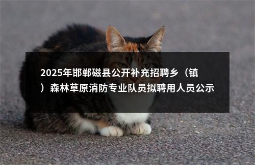 2025年邯郸磁县公开补充招聘乡（镇）森林草原消防专业队员拟聘用人员公示 图片