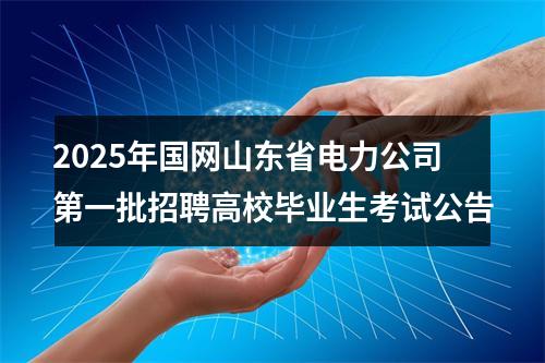 2025年国网山东省电力公司第一批招聘高校毕业生考试公告 图片