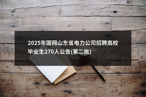 2025年国网山东省电力公司招聘高校毕业生270人公告(第二批) 图片