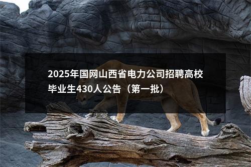 2025年国网山西省电力公司招聘高校毕业生430人公告（第一批） 图片