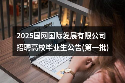 2025国网国际发展有限公司招聘高校毕业生公告(第一批) 图片