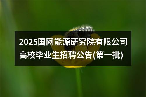 2025国网能源研究院有限公司高校毕业生招聘公告(第一批) 图片