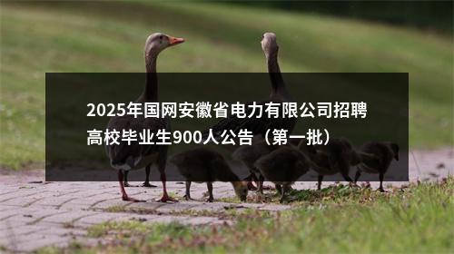 2025年国网安徽省电力有限公司招聘高校毕业生900人公告（第一批） 图片