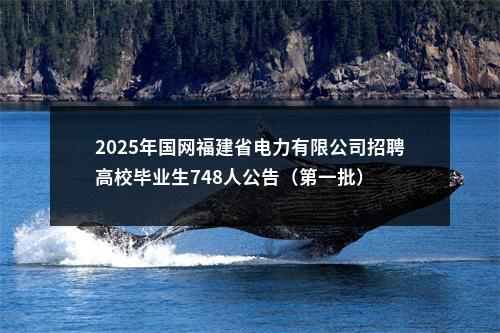 2025年国网福建省电力有限公司招聘高校毕业生748人公告（第一批） 图片