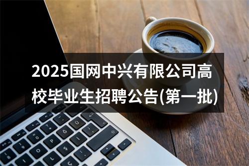 2025国网中兴有限公司高校毕业生招聘公告(第一批) 图片