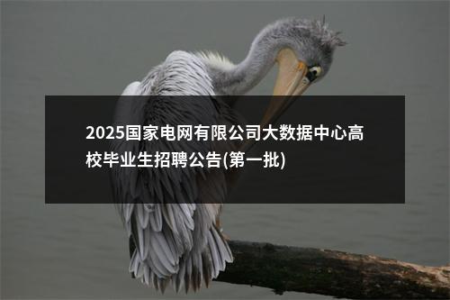 2025国家电网有限公司大数据中心高校毕业生招聘公告(第一批) 图片