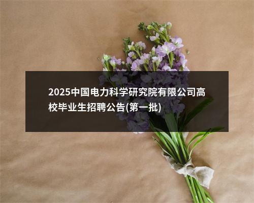 2025中国电力科学研究院有限公司高校毕业生招聘公告(第一批) 图片