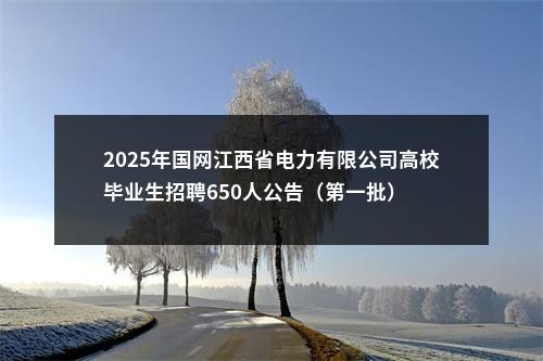 2025年国网江西省电力有限公司高校毕业生招聘650人公告（第一批） 图片