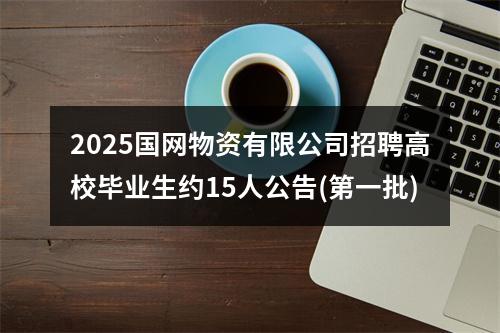 2025国网物资有限公司招聘高校毕业生约15人公告(第一批) 图片