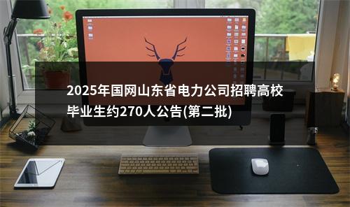 2025年国网山东省电力公司招聘高校毕业生约270人公告(第二批) 图片