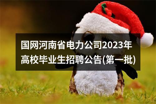 国网河南省电力公司2023年高校毕业生招聘公告(第一批) 图片
