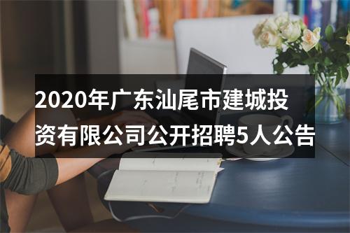 2020年广东汕尾市建城投资有限公司公开招聘5人公告 图片