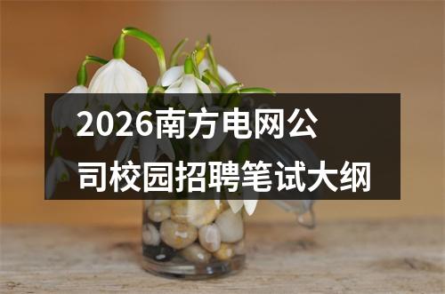 2026南方电网公司校园招聘笔试大纲 图片