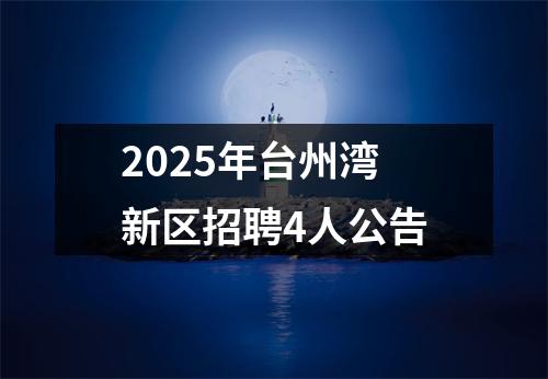 2025年台州湾新区招聘4人公告 图片