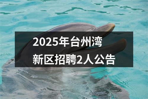 2025年台州湾新区招聘2人公告 图片