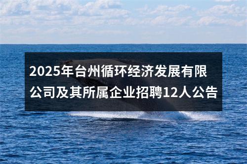 2025年台州循环经济发展有限公司及其所属企业招聘12人公告 图片