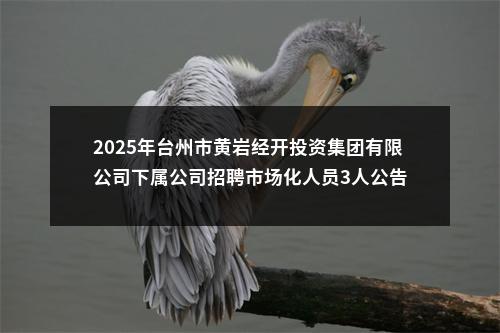 2025年台州市黄岩经开投资集团有限公司下属公司招聘市场化人员3人公告 图片