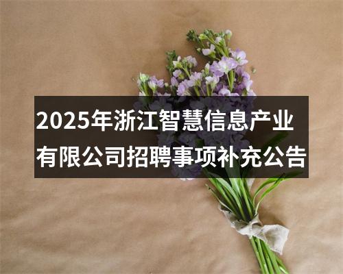 2025年浙江智慧信息产业有限公司招聘事项补充公告 图片