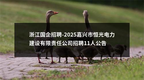 浙江国企招聘-2025嘉兴市恒光电力建设有限责任公司招聘11人公告 图片